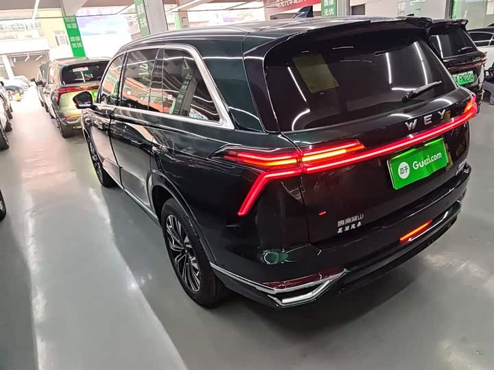 Wey Lanshan 2023 2023款 四驱超长续航版