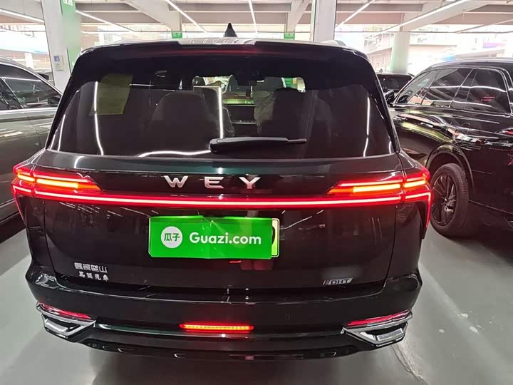 Wey Lanshan 2023 2023款 四驱超长续航版