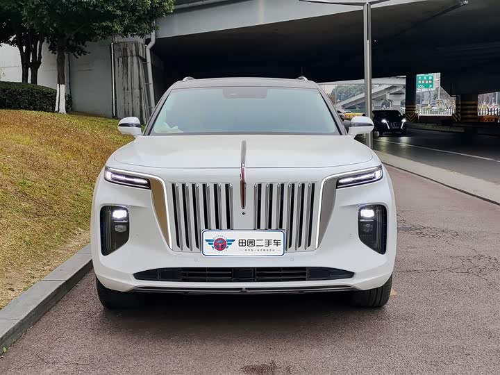 Hongqi E-HS9 2022 2022款 690km 旗享版 六座