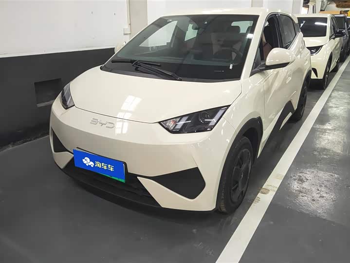 BYD Seagull 2025 2025款 智驾版 305km 活力版