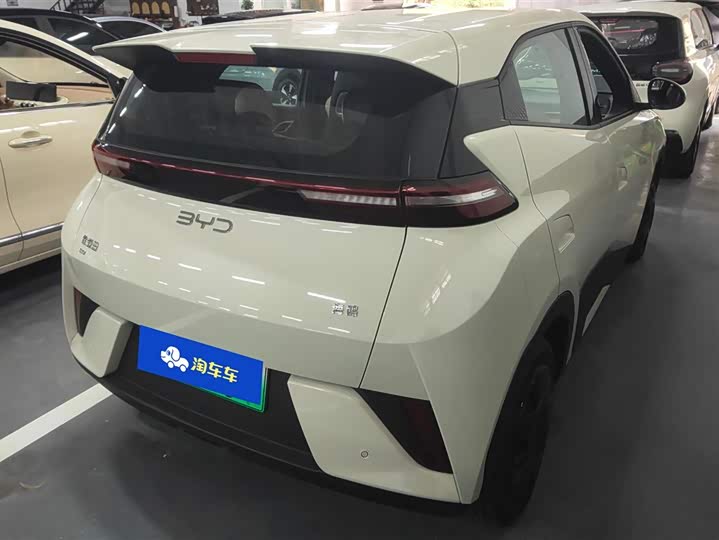 BYD Seagull 2025 2025款 智驾版 305km 活力版