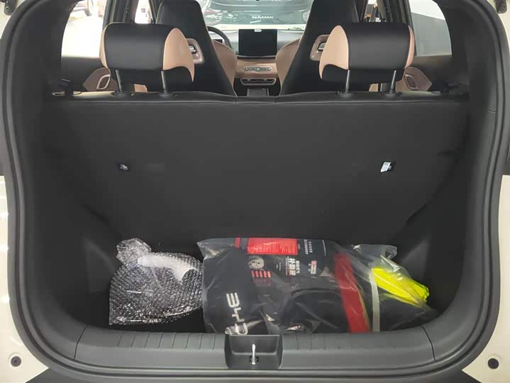 BYD Seagull 2025 2025款 智驾版 305km 活力版