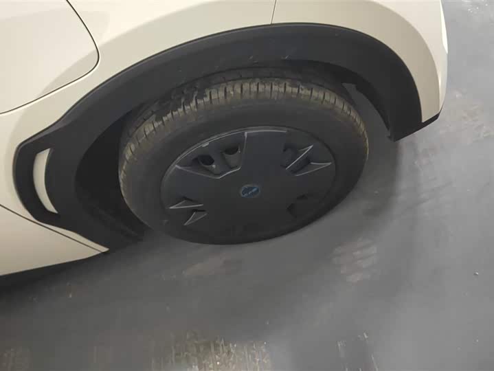 BYD Seagull 2025 2025款 智驾版 305km 活力版