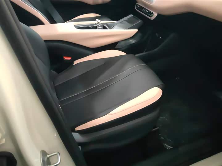 BYD Seagull 2025 2025款 智驾版 305km 活力版