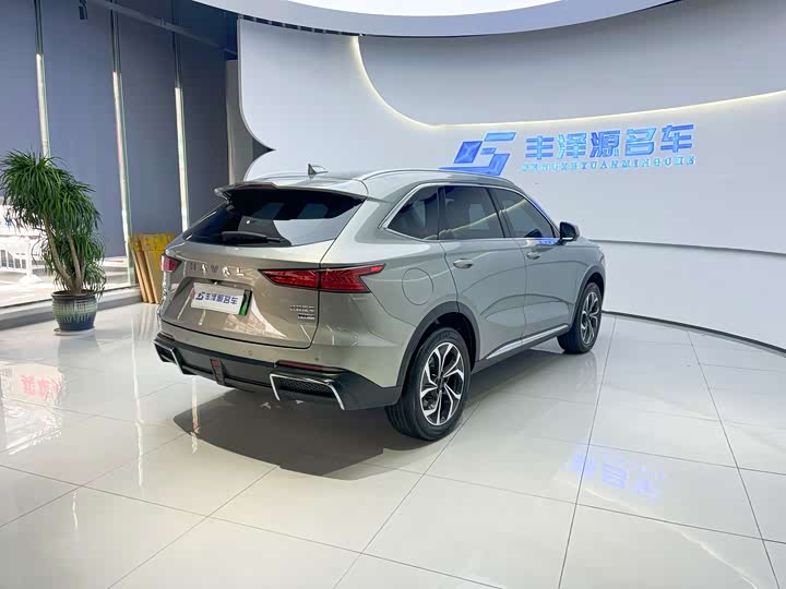 Haval Ruge Max 2023 2023款 1.5L Hi4 105 四驱精英版