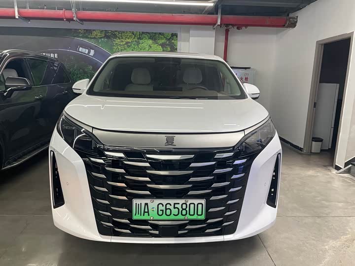 BYD Xia 2025 2025款 DM-i 1.5T 180km 卓越型