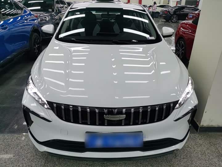 2024 Geely Binrui
