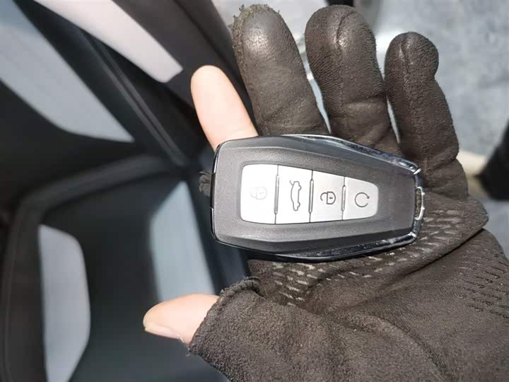 Geely Binrui 2024 2024款 缤瑞COOL 1.5T DCT冠军版