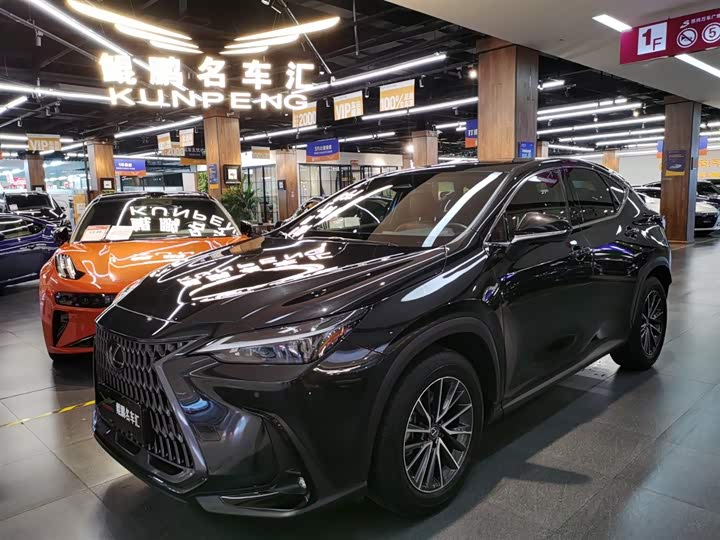 Lexus NX 2023 2023款 260 前驱 创悦版