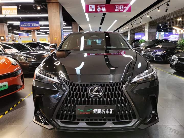 Lexus NX 2023 2023款 260 前驱 创悦版