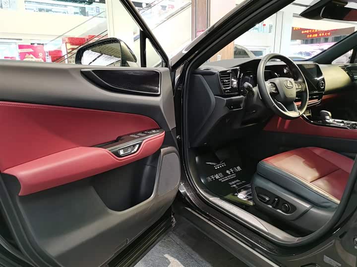 Lexus NX 2023 2023款 260 前驱 创悦版