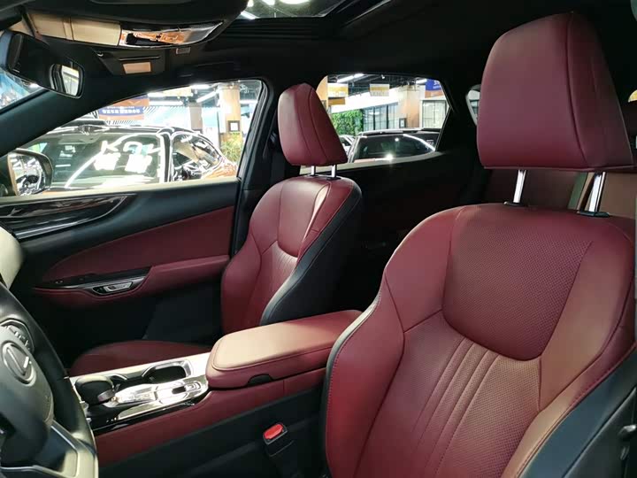 Lexus NX 2023 2023款 260 前驱 创悦版