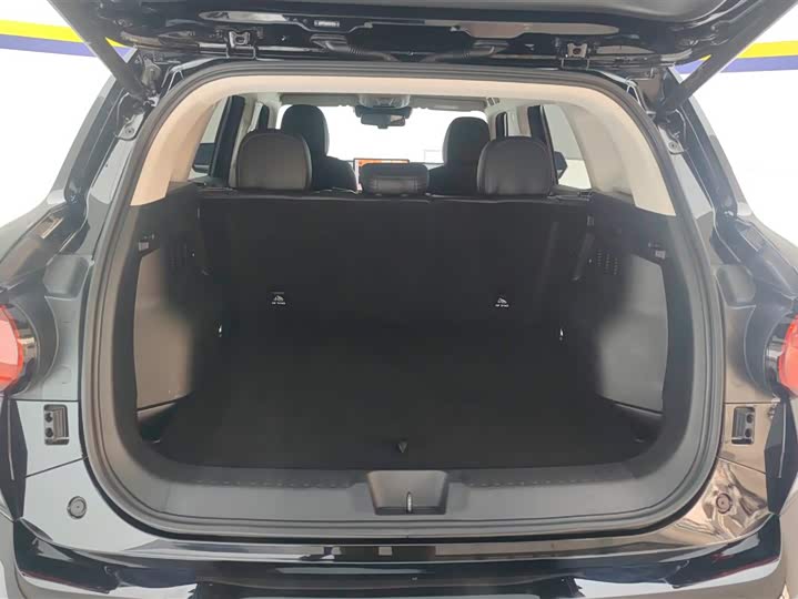 Haval H-Dog 2023 2023款 2.0T 四驱潮野Plus