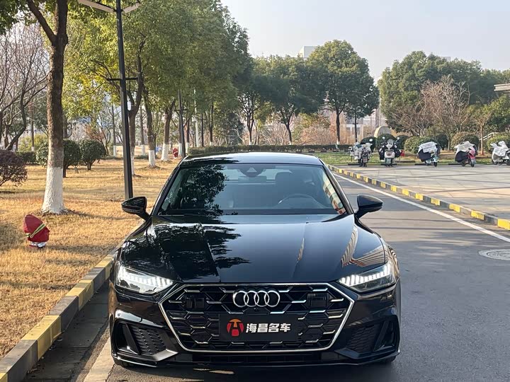 Audi A7 2024 2024款 45 TFSI 臻选型