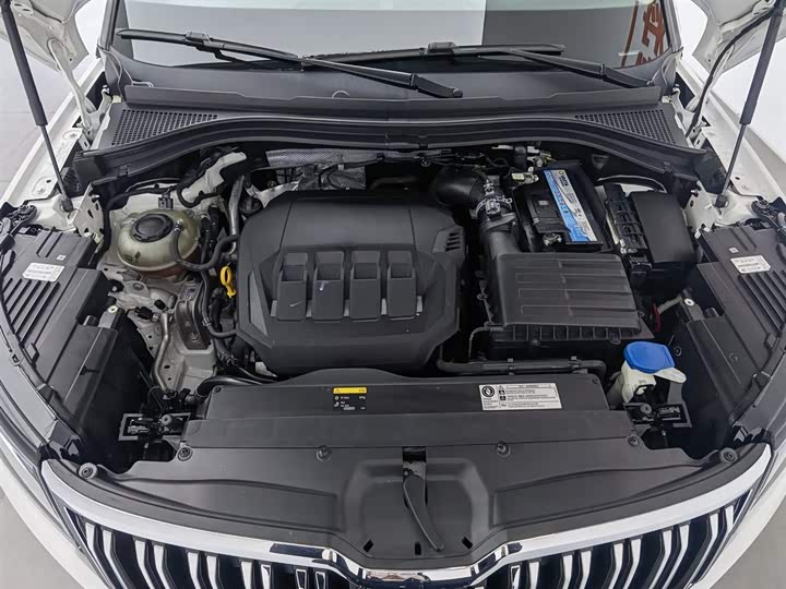 Skoda Kodiaq 2021 2021款 TSI330 7座两驱豪华优享版