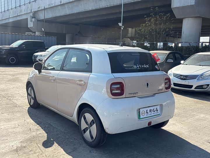 Ora Black Cat 2022 2022款 301km 萌宠版 磷酸铁锂