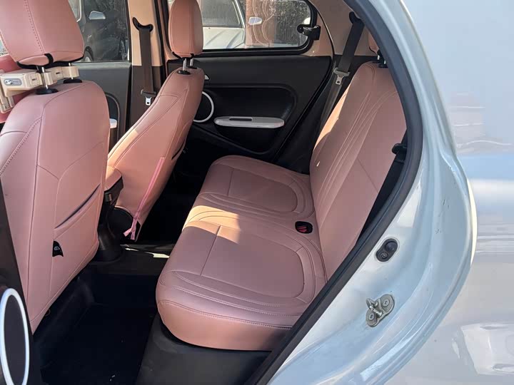 Ora Black Cat 2022 2022款 301km 萌宠版 磷酸铁锂