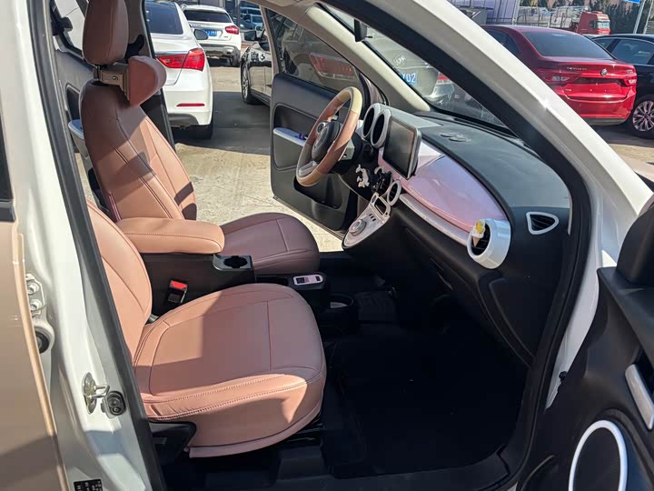 Ora Black Cat 2022 2022款 301km 萌宠版 磷酸铁锂