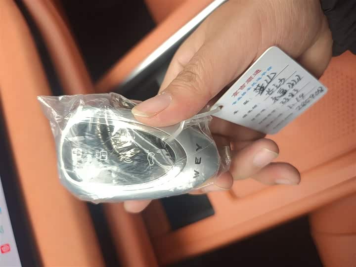 Wey Lanshan 2025 2025款 四驱智驾 Ultra