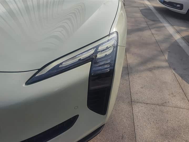 Hongqi EH7 2024 2024款 820 Pro