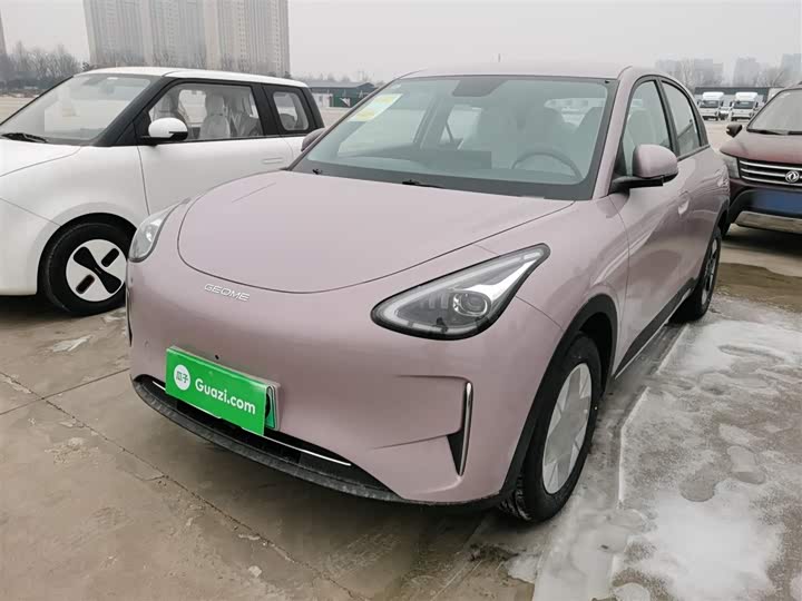 Geely Galaxy Geome 2026 2026款 310km 梦想版