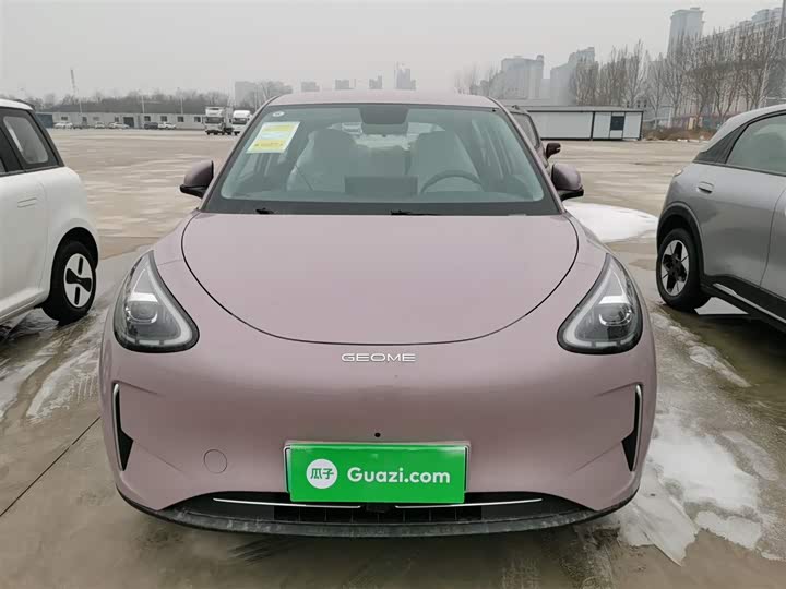 Geely Galaxy Geome 2026 2026款 310km 梦想版