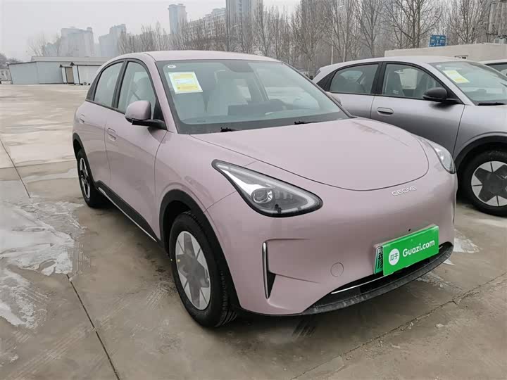 Geely Galaxy Geome 2026 2026款 310km 梦想版