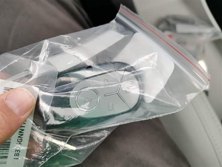 Geely Galaxy Geome 2026 2026款 310km 梦想版