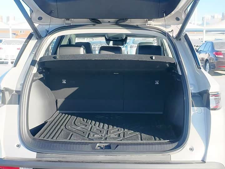 BYD Sea Lion 05 DM-i Hybrid 2025 2025款 DM-i 智驾版 115KM旗舰型