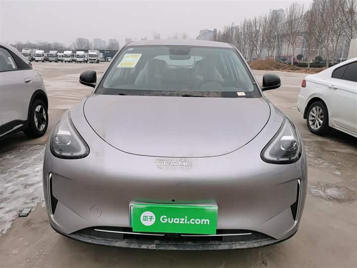 Geely Galaxy Geome 2026 2026款 310km 梦想版