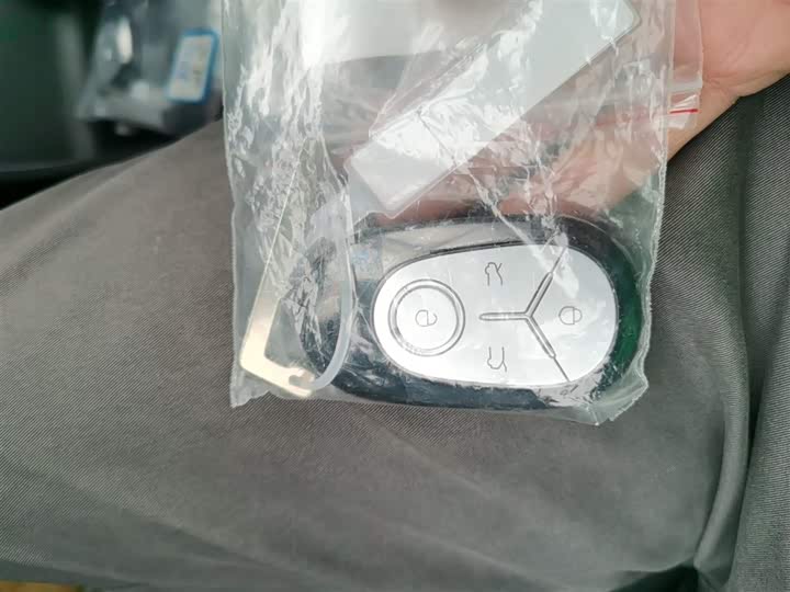 Geely Galaxy Geome 2026 2026款 310km 梦想版