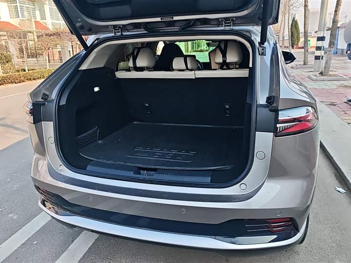 Roewe D5X DMH 2024 2024款 135科技版