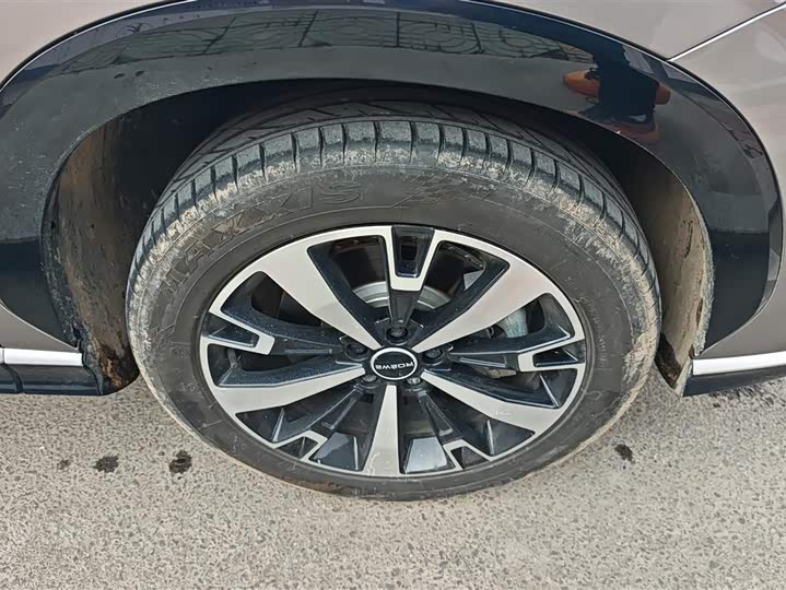 Roewe D5X DMH 2024 2024款 135科技版