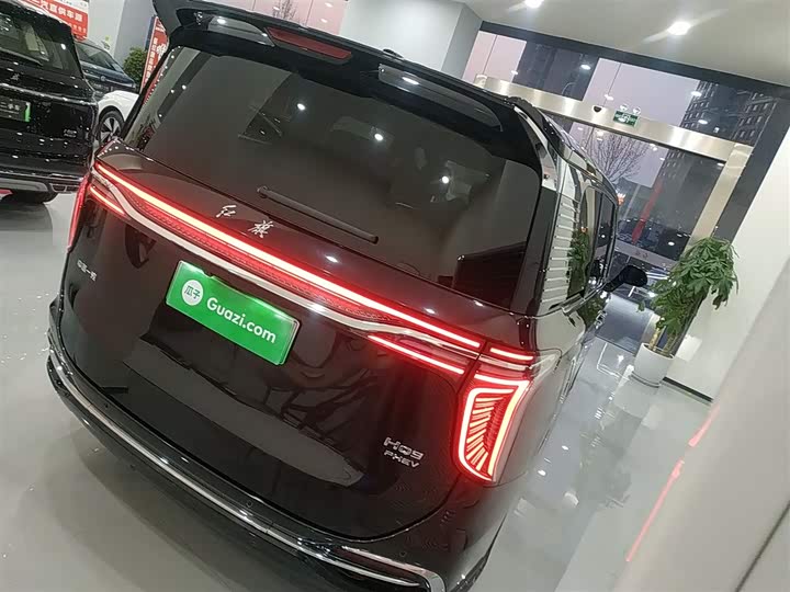 Hongqi HQ9 Hybrid 2024 2024款 2.0T 四驱商务版