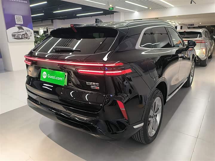 Wey Mocca Hybrid 2024 2024款 Hi4 四驱长续航版