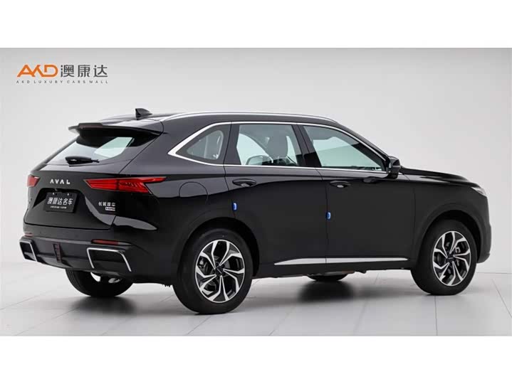 Haval Ruge Max 2023 2023款 1.5L Hi4 105 四驱智能旗舰版
