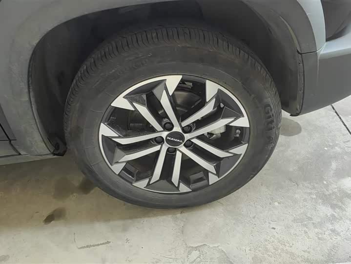 Haval Dargo 2024 2024款 1.5T DCT边牧版