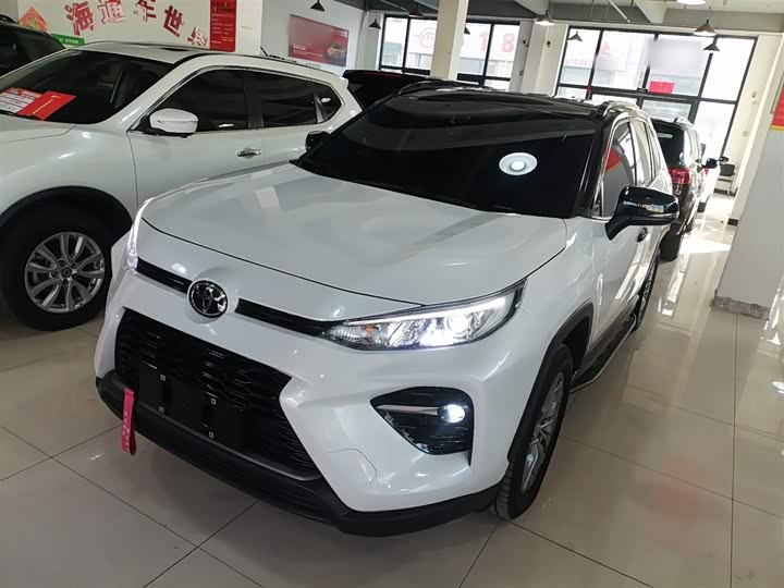 Toyota Wildlander 2024 2024款 2.0L CVT两驱领先版