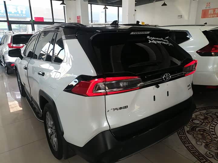 Toyota Wildlander 2024 2024款 2.0L CVT两驱领先版