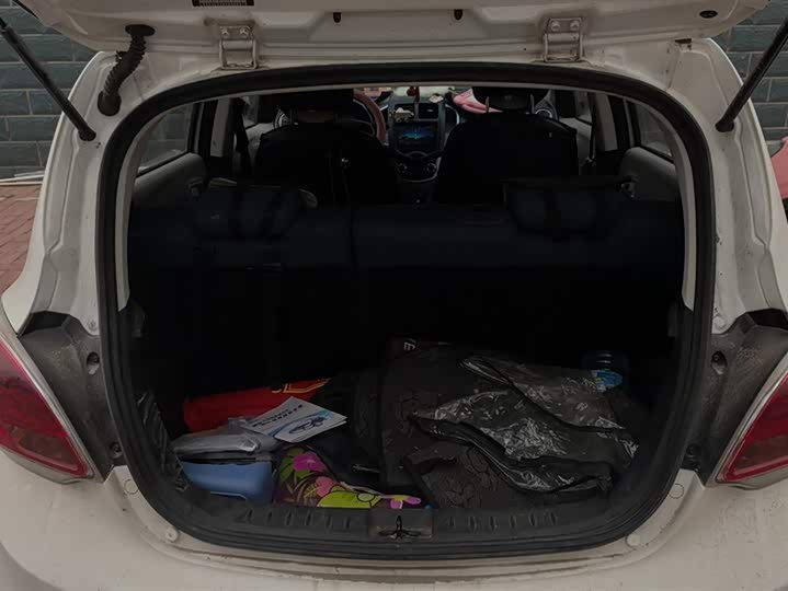 Changan BenBen E-Star 2021 2021款 国民版 多彩款 磷酸铁锂（31.95kWh）