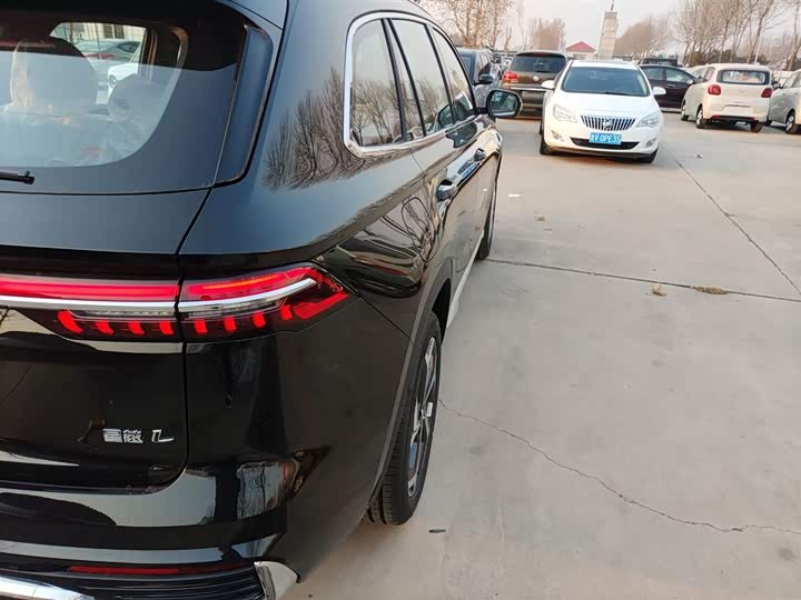 Geely Monjaro 2024 2024款 2.0TD DCT EVO两驱长风版