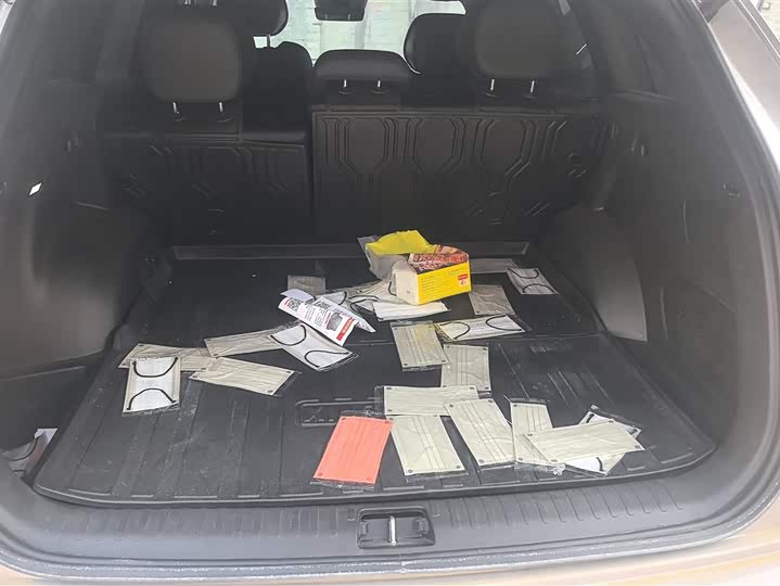 Geely Monjaro 2025 2025款 东方曜 2.0TD 自动揽星版