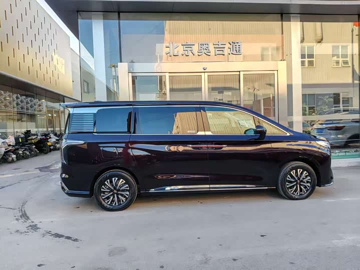 Hongqi HQ9 Hybrid 2024 2024款 2.0T 四驱豪华版