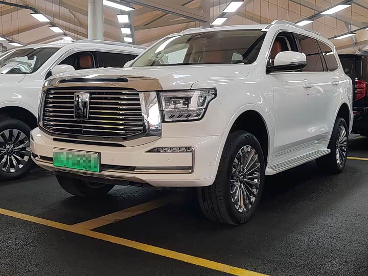 Tank 500 Hybrid 2025 2025款 Hi4-Z