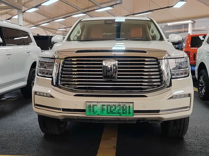 Tank 500 Hybrid 2025 2025款 Hi4-Z