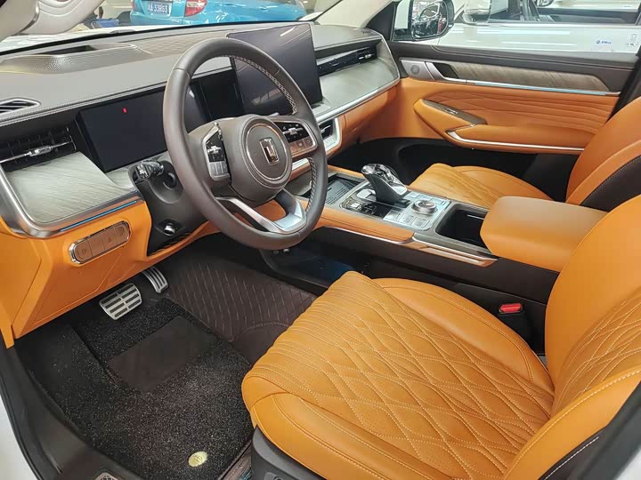 Tank 500 Hybrid 2025 2025款 Hi4-Z