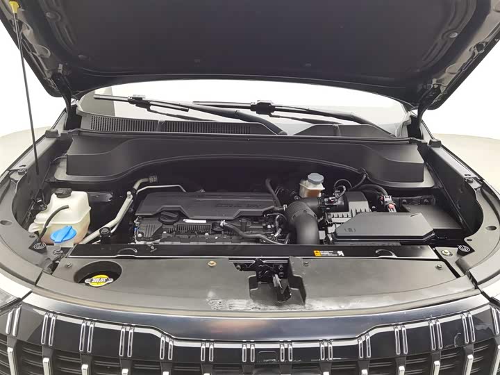 Kia Sportage GT-line 2021 2021款 Ace 2.0L 挑战版