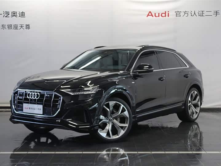 Audi Q8 2023 2023款 55 TFSI 豪华动感型