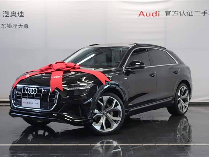 Audi Q8 2023 2023款 55 TFSI 豪华动感型