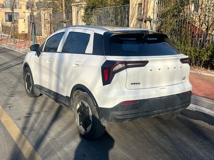 Geely Geometry E Firefly 2024 2024款 301km 星光